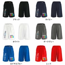 ハンドのルール 3歩3秒3メートル  ハーフパンツ ドライ 練習着 カラーバリエーション