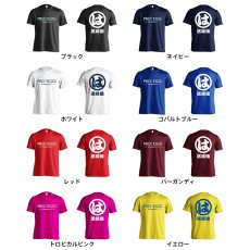 送球組 は組  Tシャツ 半袖 練習着 ドライ カラーバリエーション