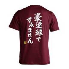 豪速球ですみません  Tシャツ 半袖 練習着 ドライ メイン写真