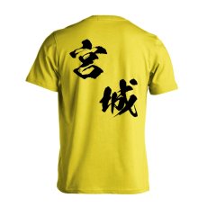 都道府県デザイン 宮城 闘龍書体 斜め書き  Tシャツ 半袖 練習着 ドライ メイン写真