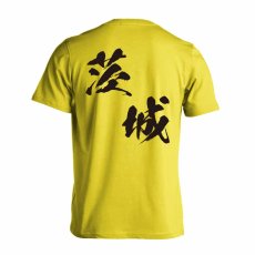 都道府県デザイン 茨城 闘龍書体 斜め書き  Tシャツ 半袖 練習着 ドライ メイン写真