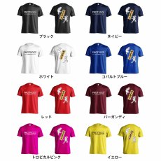 送球戯画 はんどぼぉる  Tシャツ 半袖 練習着 ドライ カラーバリエーション