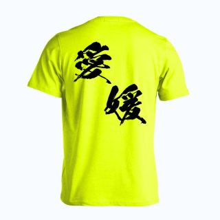 都道府県デザイン 奈良 闘龍書体 斜め書き Tシャツ 半袖 練習着 ドライ