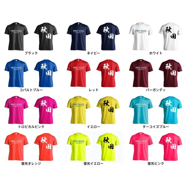 都道府県デザイン 秋田 闘龍書体 斜め書き Tシャツ 半袖 練習着 ドライ