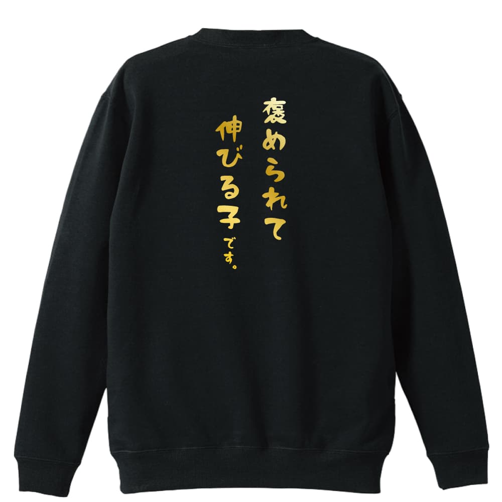 褒められて伸びる子です ハンドボールトレーナー 裏パイル プロテッジ ハンドボールtシャツ専門店