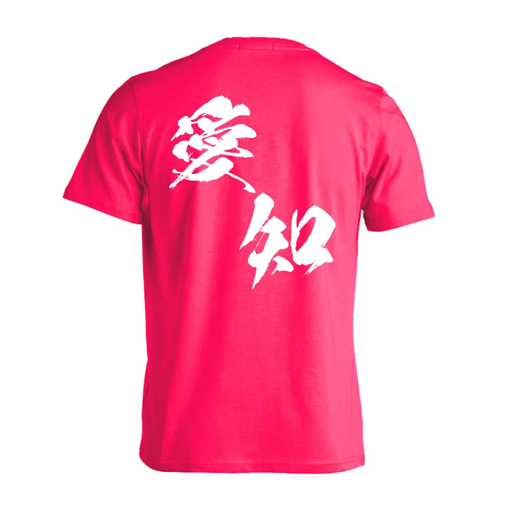 都道府県デザイン 愛知 闘龍書体 斜め書き Tシャツ 半袖 練習着 ドライ